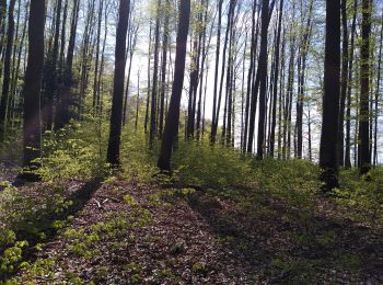 Randonnée Marche Plombières-les-Bains - Ruaux mp 2022 - Photo