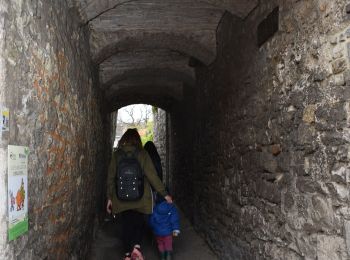 Randonnée Marche Olne - 20210508 - Olne 5.4 Km - Famille - Photo