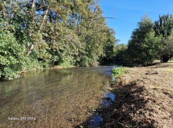 Tocht Stappen Montbouy - Montbouy 45 rando  - Photo