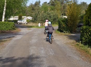 Randonnée Marche Balen - baelen rox et sylou - Photo