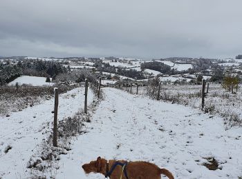 Percorso Mountainbike Rozier-en-Donzy - neige dimanche 28 novembre  - Photo