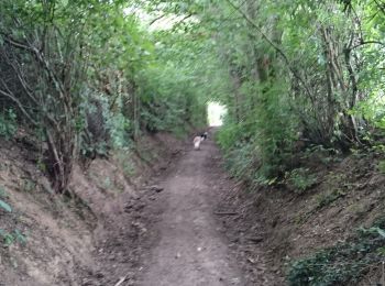 Percorso Marcia Kelmis - La Calamine Welky  - Photo