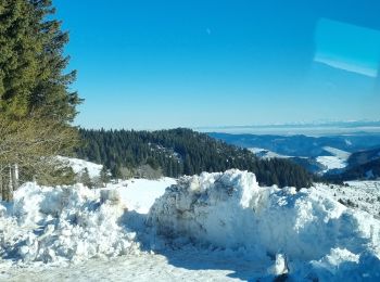 Excursión Raquetas de nieve Borée - les estables sortie 4 - Photo