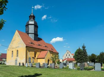 Trail On foot Großenhain - Großenhain - Baudaer Mühle - Zabeltitz - Photo