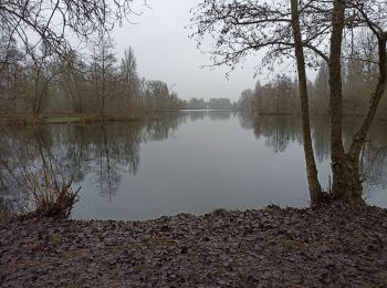 Tocht Stappen Biache-Saint-Vaast - Biache  - Photo