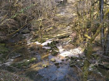 Randonnée Marche Coteaux du Lizon - St Lupicin Les Tureys - Photo