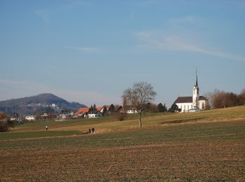 Tour Zu Fuß Berikon - Ober Berikon - Hafnerberg - Photo