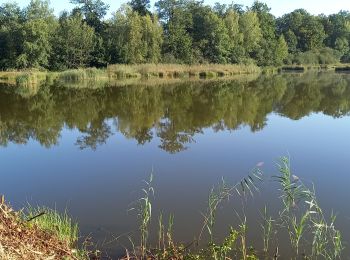 Tocht Elektrische fiets Jolivet - sortie vtt 07092023 - Photo