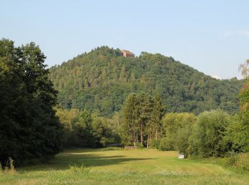 Randonnée A pied Amorbach - Rundwanderweg Amorbach Amorsbrunn 3: Otterbach-Weg - Photo