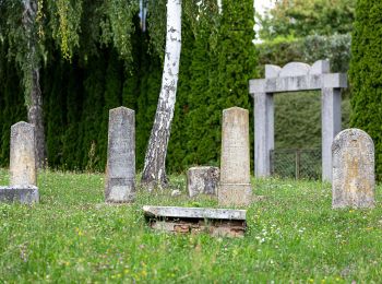 Tocht Te voet Bad Tatzmannsdorf - Lauf/Walkingweg L19 - Photo