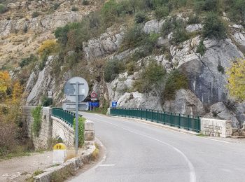 Randonnée Marche Quinson - 1Quinson, les basses gorges du Verdon - Photo