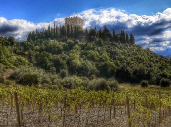 Randonnée A pied Castiglione d'Orcia - IT-PVO8 - Photo