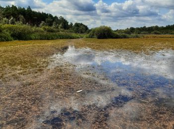 Tocht Te voet Oudsbergen - Donderslag Blauwe ruit - Photo