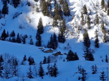 Randonnée Raquettes à neige Pralognan-la-Vanoise - Pralognan J4 La Corniche - Photo