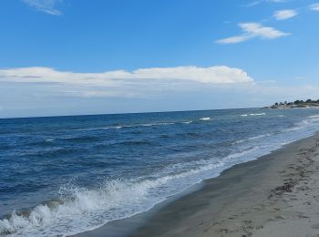 Tocht Stappen Serra-di-Fiumorbo - dunes du lac de Palu - Photo