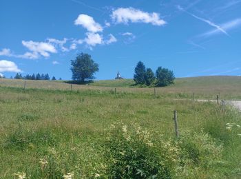 Tocht Stappen Bellefontaine - Le Sacré-Cœur, retour par l'Évalude. - Photo