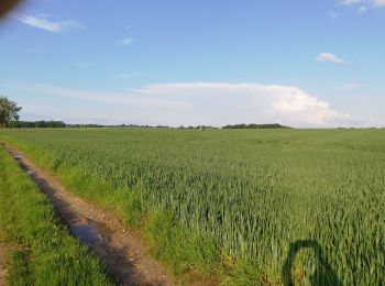 Tocht Noords wandelen Voeren - 240525 Osi FlC - Photo