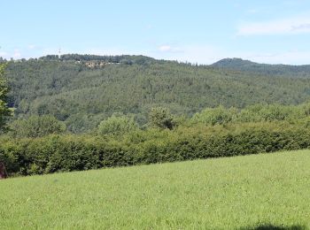 Tour Zu Fuß Gersfeld - Rhön-Rundweg 1 Horstberg - Photo