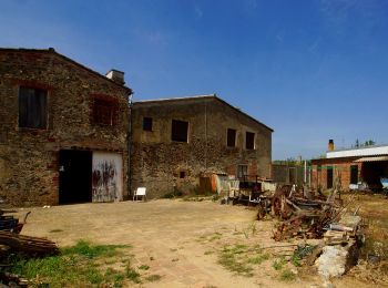 Randonnée A pied Calonge i Sant Antoni - SL-C 26 Puig del Cargol - Photo