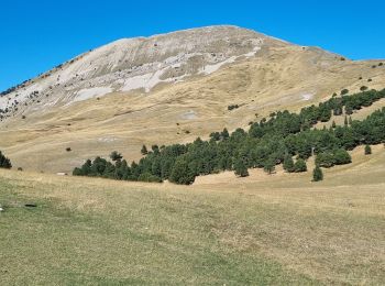 Tocht Stappen Châtillon-en-Diois - mont barral - Photo