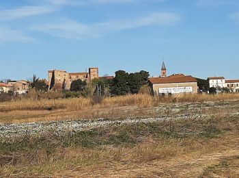 Tour Wandern Corneilla-del-Vercol - thématique mo tescot du 18 02 2023 - Photo