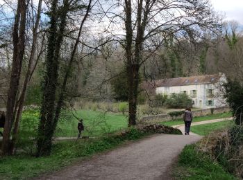 Tour Wandern Villiers-le-Bâcle - Gif 2021 : Mérantaise1 - Photo