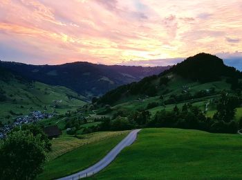 Tour Zu Fuß Vorderthal - Sonne - Ramseli - Photo