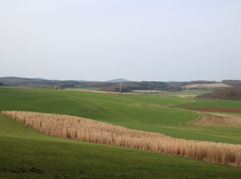 Percorso A piedi Gladenbach - Georg Ludwig Hartwig Weg - Photo