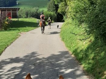 Tour Reiten Chainaz-les-Frasses - balade du 10.08.2019 - Photo