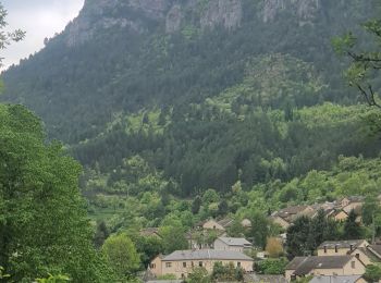 Trail Walking Bédouès-Cocurès - 14-05-2023 E9 Bédouès - Barre des Cévennes  - Photo