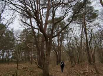 Percorso Marcia Mousseaux-sur-Seine - moisson - Photo