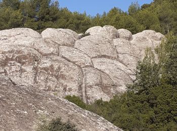 Tour Wandern Évenos - Grès Ste Anne - Photo