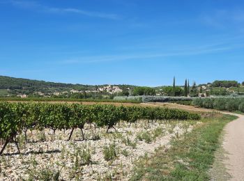 Randonnée Vélo de route Dieulefit - Virade espoir Dieulefit  - Photo