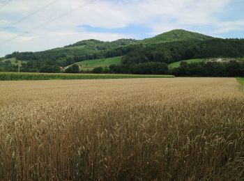 Tocht Te voet Lang - Hengist Kulturwanderweg Lang Lechenbergrunde - Photo