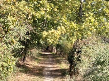 Trail Walking Chabanière - 69-st-maurice-dargoire2-19km-580m - Photo