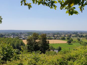 Excursión A pie Jemeppe-sur-Sambre - Balade à Jemeppe-sur-Sambre - Photo