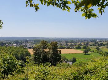 Trail On foot Jemeppe-sur-Sambre - Balade à Jemeppe-sur-Sambre - Photo