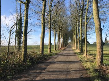 Tour Wandern Villers-la-Ville - Autour du Golf de Rigenée - Photo