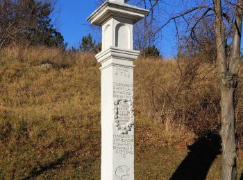 Randonnée A pied Gemeinde Sommerein - Rund um den Kolmberg - Photo