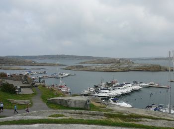 Trail On foot  - Tursti Vrengen-Grepan (Tjøme) - Photo