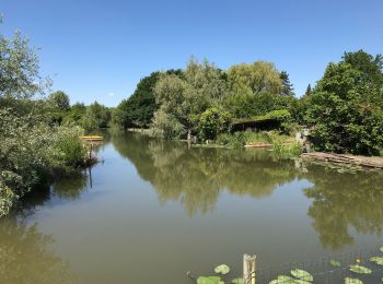 Randonnée Marche Clairmarais - Clairmarai - Photo