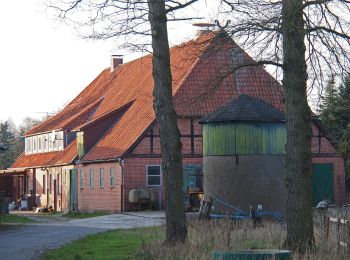 Tour Zu Fuß Südheide - Südheide 'In einem Bächlein helle' W6m (mittlere Tour) - Photo