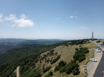 Randonnée Marche Bassurels - 2023-07-15 Aire de côté - Aigual - Photo