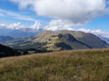 Trail Walking Manigod - ARAVIS: POINTE D'ORSIERE VARIANTE - Photo