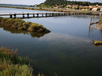 Excursión Senderismo Peyriac-de-Mer - Peyriac et le tour de l'étang  - Photo