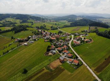 Excursión A pie Röhrnbach - Wanderweg Goggersreut-Röhrnbach - Photo