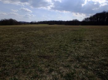 Tour Zu Fuß Pfullingen - Pfullingen-Breitenbach - Photo