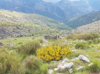 Tocht Stappen Lucéram - Col de Porte Col de L’Autaret - Photo