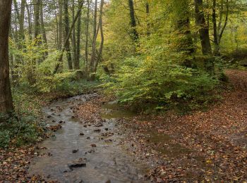 Tour Zu Fuß Geisenheim - Geisenheimer Rundweg F - Photo