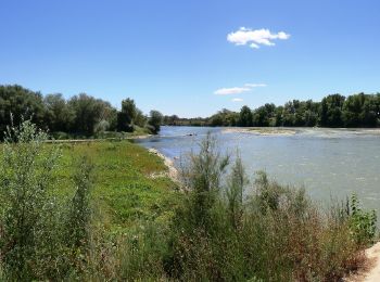 Trail On foot Zaragoza - Desembocadura del Gállego - Photo